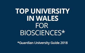 Top University in Wales for Biosciences